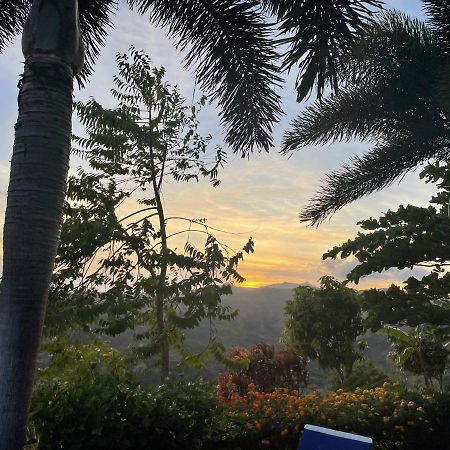 Hawk's Nest Bed&Breakfast La Laguna de San Carlos Exterior foto