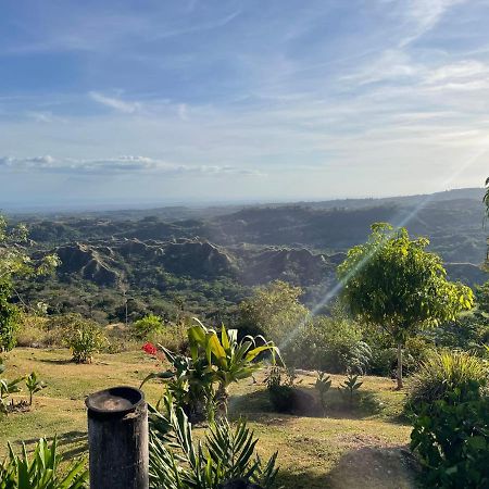 Hawk's Nest Bed&Breakfast La Laguna de San Carlos Exterior foto