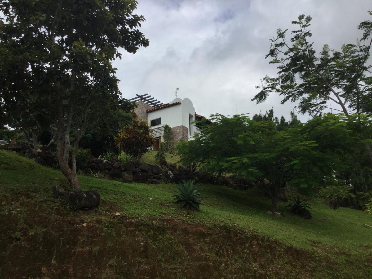 Hawk's Nest Bed&Breakfast La Laguna de San Carlos Exterior foto