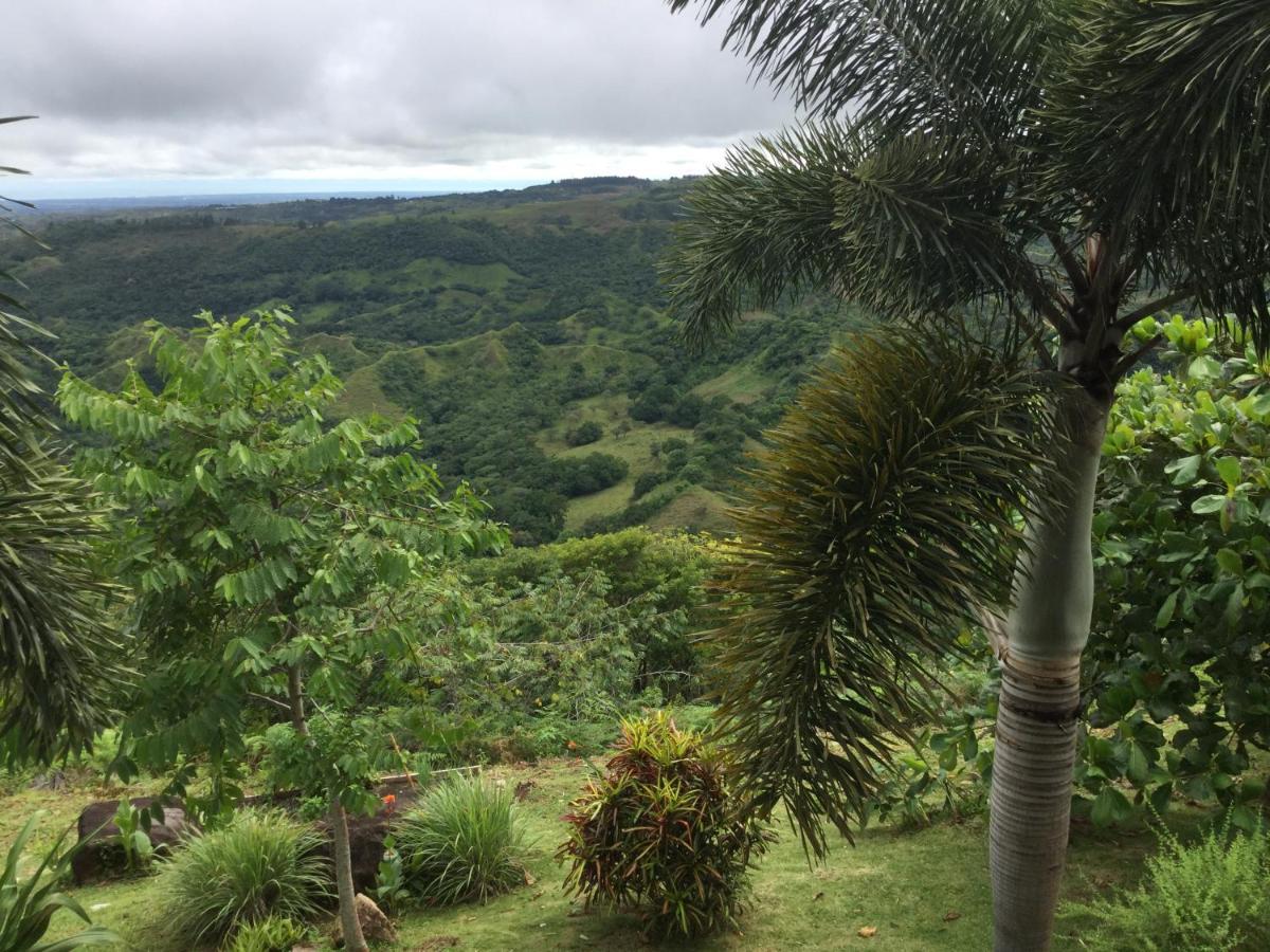 Hawk's Nest Bed&Breakfast La Laguna de San Carlos Exterior foto