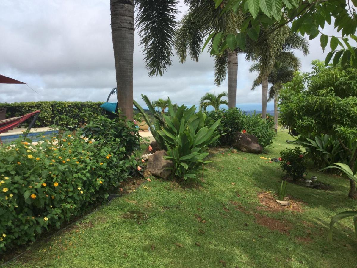 Hawk's Nest Bed&Breakfast La Laguna de San Carlos Exterior foto