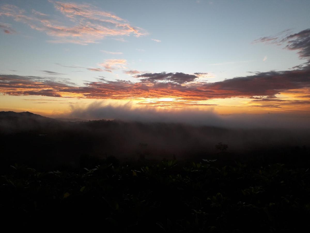 Hawk's Nest Bed&Breakfast La Laguna de San Carlos Exterior foto