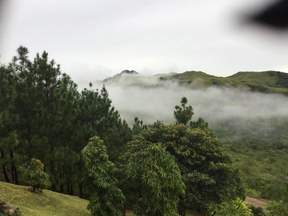 Hawk's Nest Bed&Breakfast La Laguna de San Carlos Exterior foto
