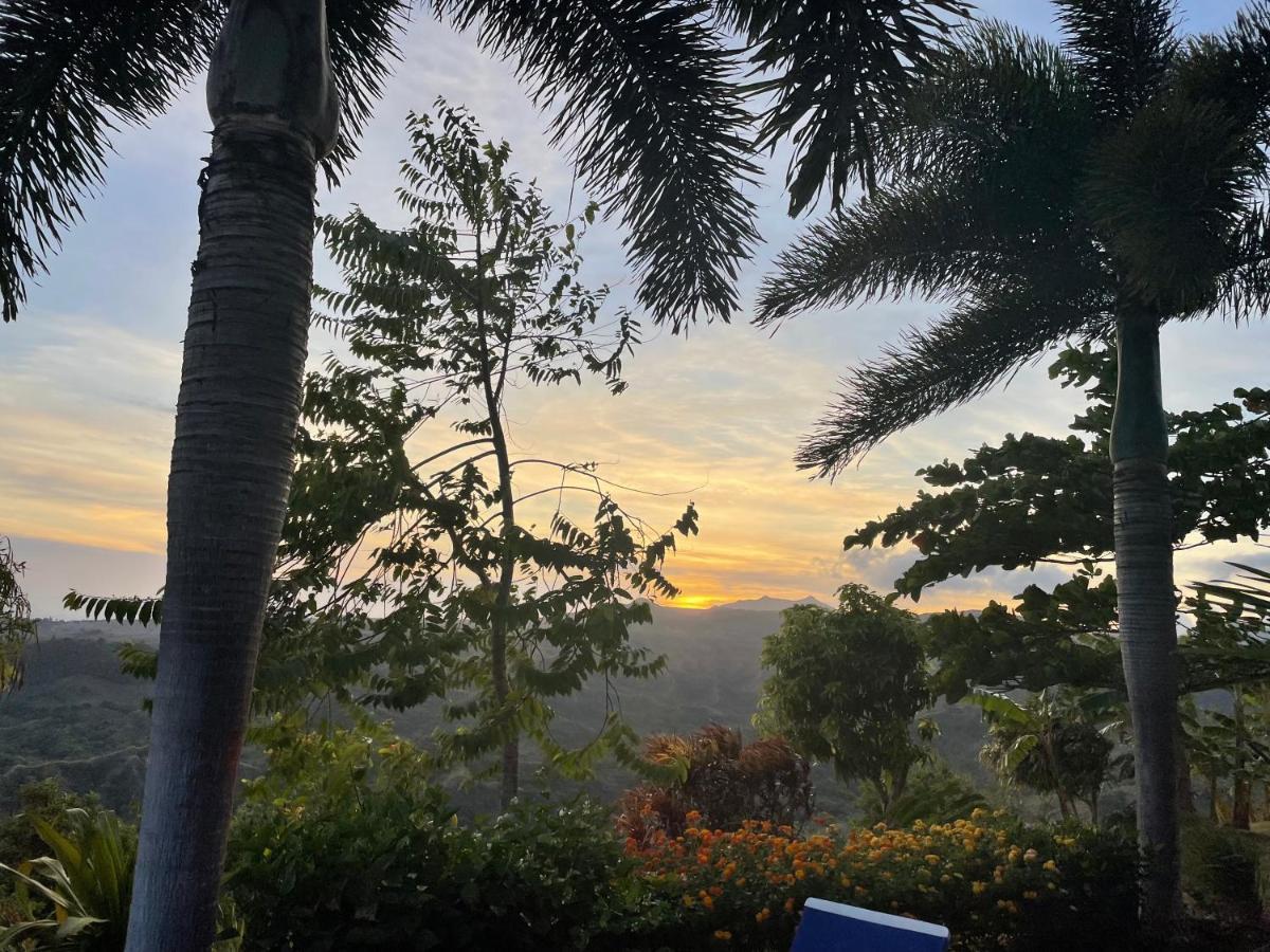 Hawk's Nest Bed&Breakfast La Laguna de San Carlos Exterior foto