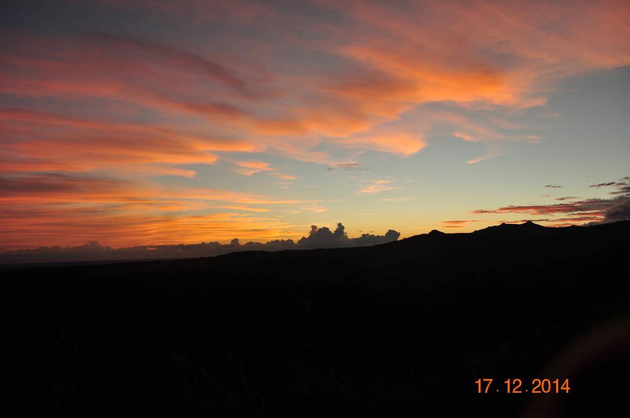 Hawk's Nest Bed&Breakfast La Laguna de San Carlos Exterior foto