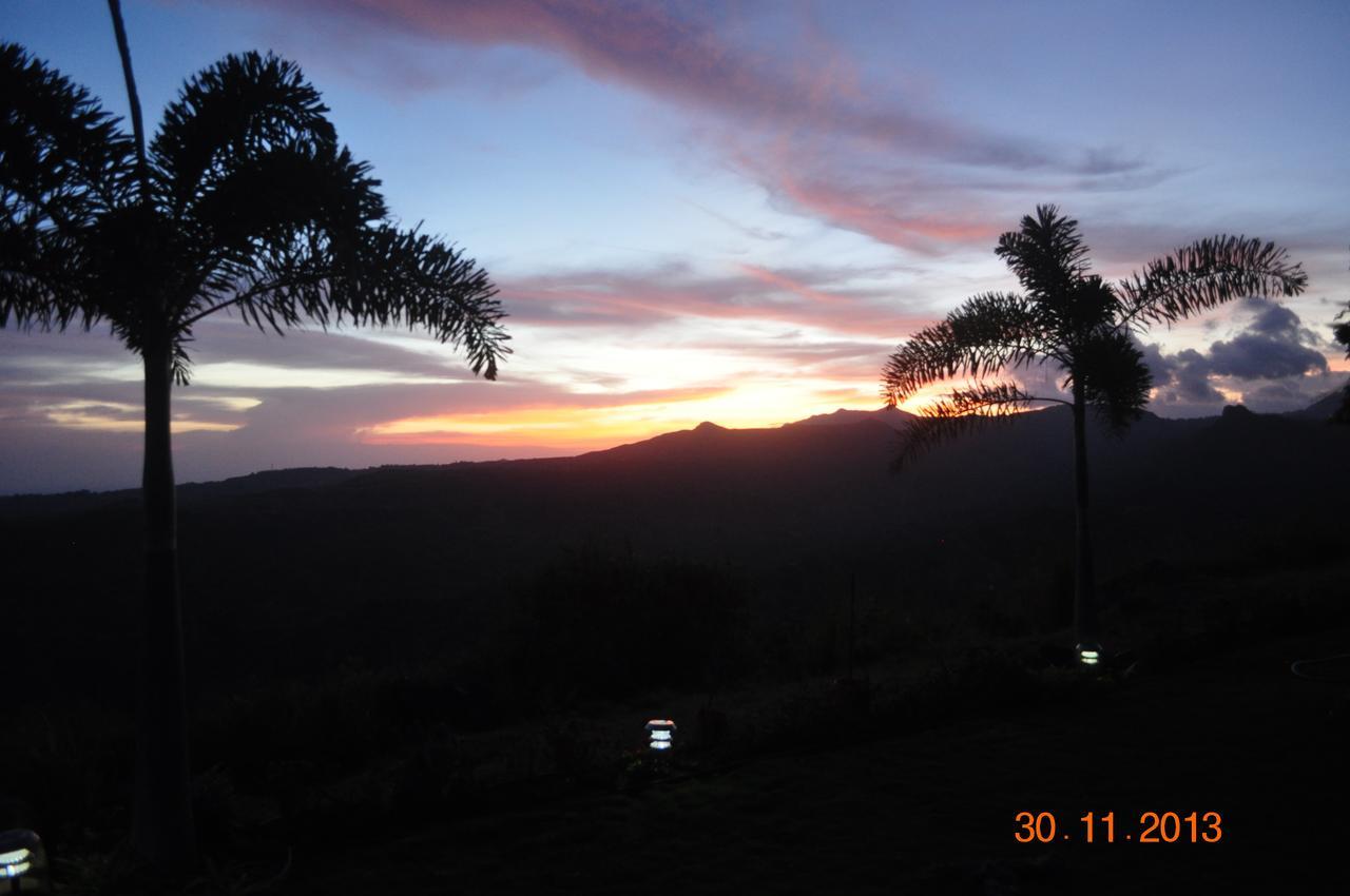 Hawk's Nest Bed&Breakfast La Laguna de San Carlos Exterior foto