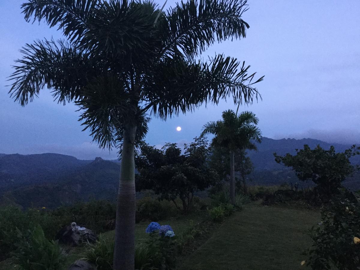 Hawk's Nest Bed&Breakfast La Laguna de San Carlos Exterior foto