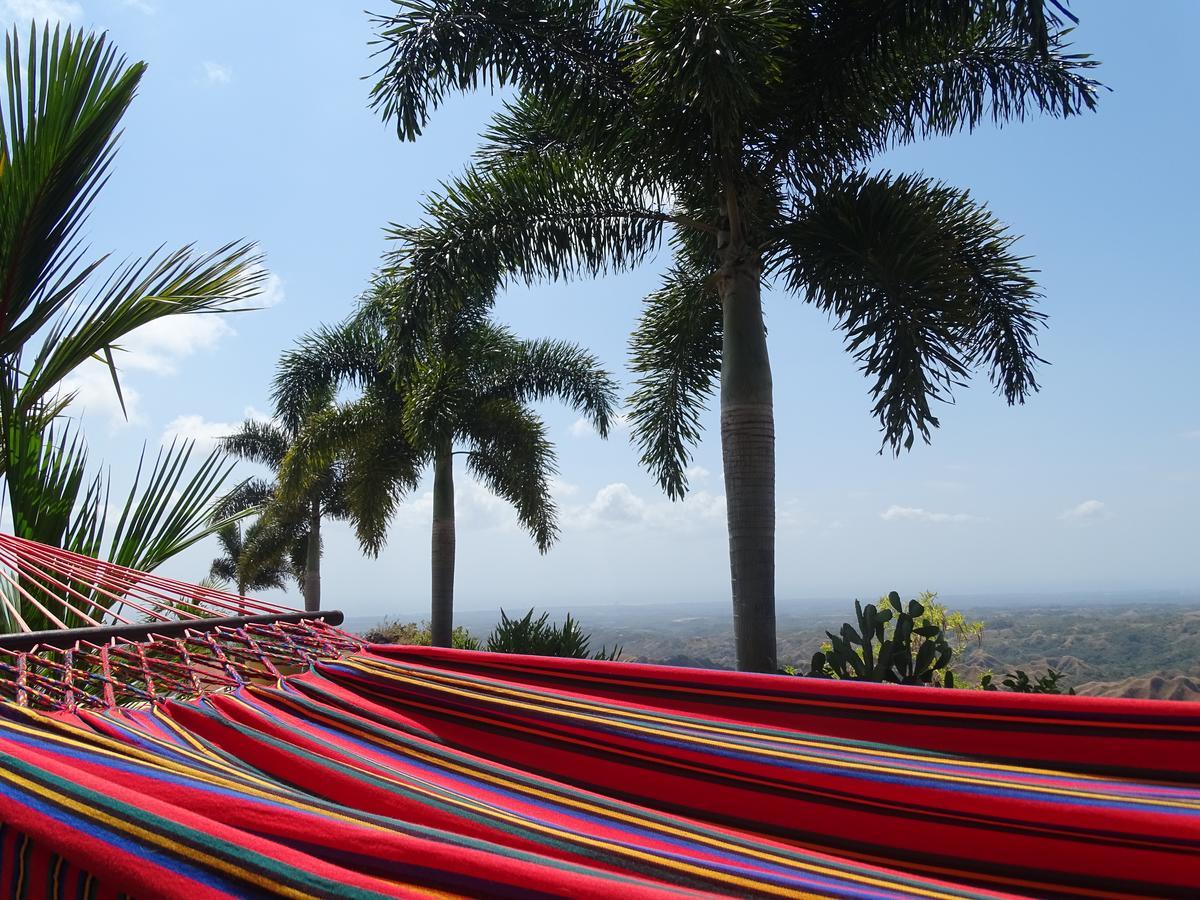 Hawk's Nest Bed&Breakfast La Laguna de San Carlos Exterior foto
