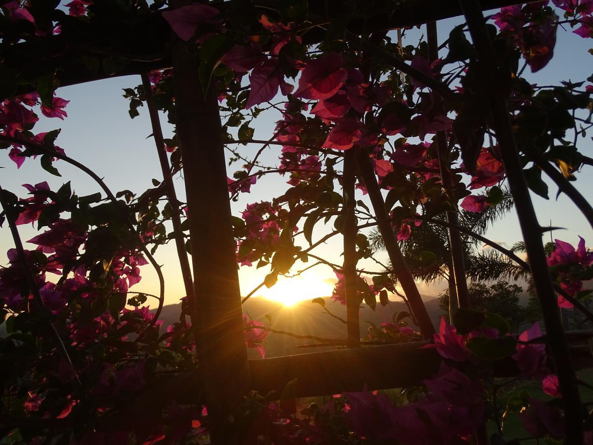 Hawk's Nest Bed&Breakfast La Laguna de San Carlos Exterior foto
