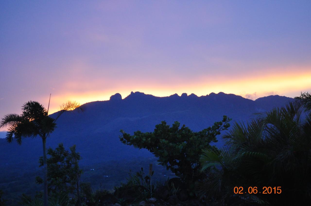 Hawk's Nest Bed&Breakfast La Laguna de San Carlos Exterior foto