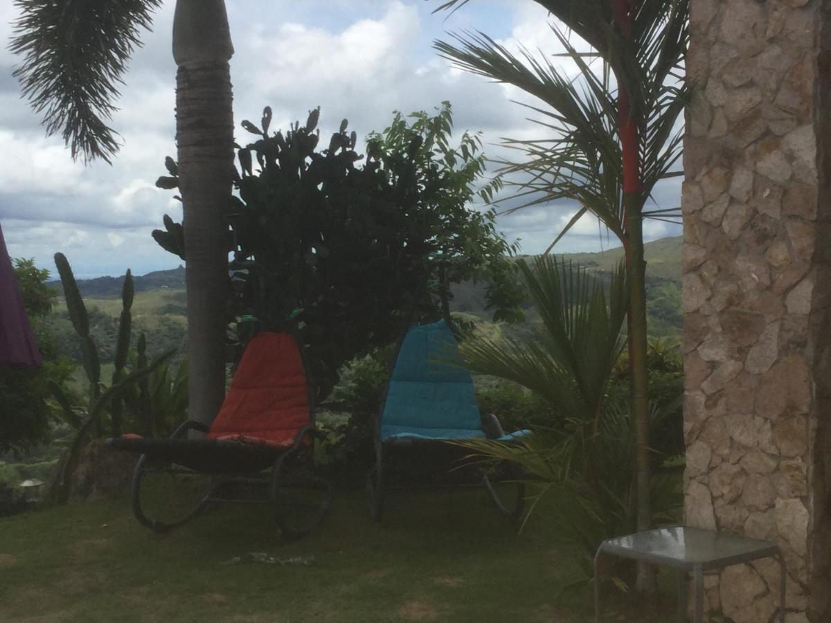 Hawk's Nest Bed&Breakfast La Laguna de San Carlos Exterior foto