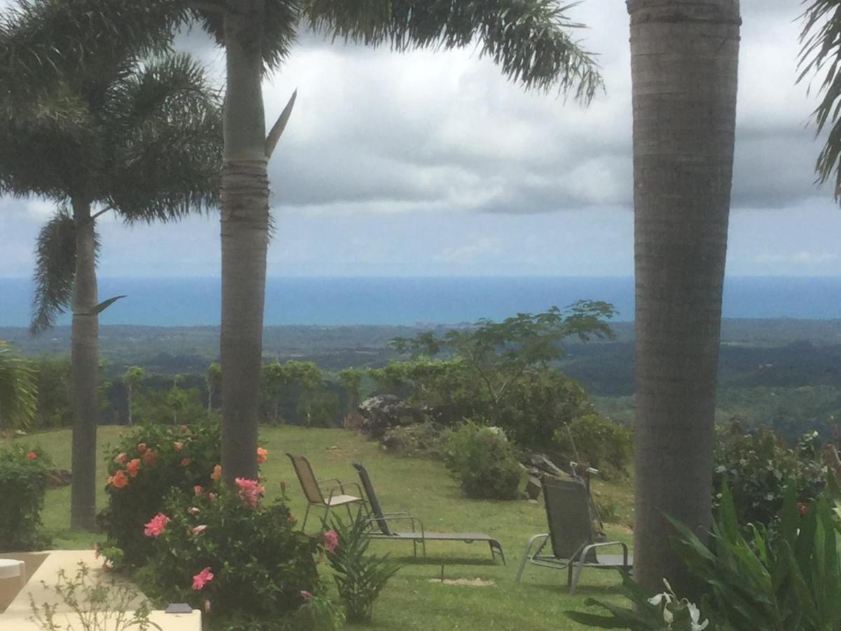Hawk's Nest Bed&Breakfast La Laguna de San Carlos Exterior foto